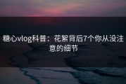 糖心vlog科普：花絮背后7个你从没注意的细节
