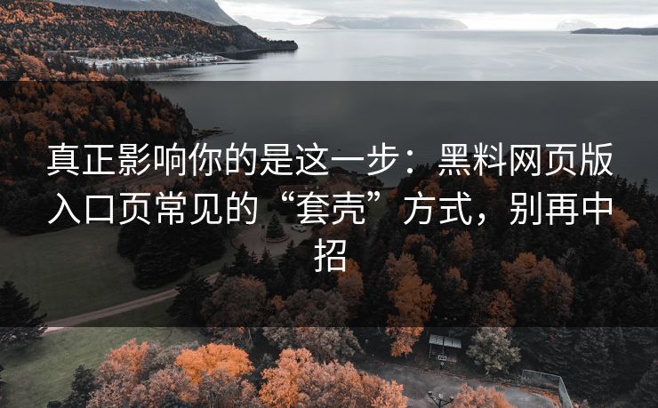 真正影响你的是这一步:黑料网页版入口页常见的“套壳”方式,别再中招 真正影响你的是这一步:黑料网页版入口页常见的“套壳”方式,别再中招
