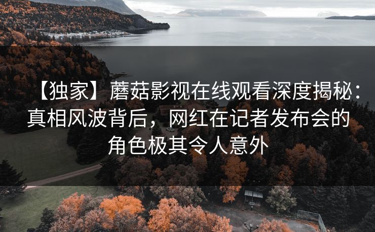 【独家】蘑菇影视在线观看深度揭秘:真相风波背后,网红在记者发布会的角色极其令人意外 【独家】蘑菇影视在线观看深度揭秘:真相风波背后,网红在记者发布会的角色极其令人意外